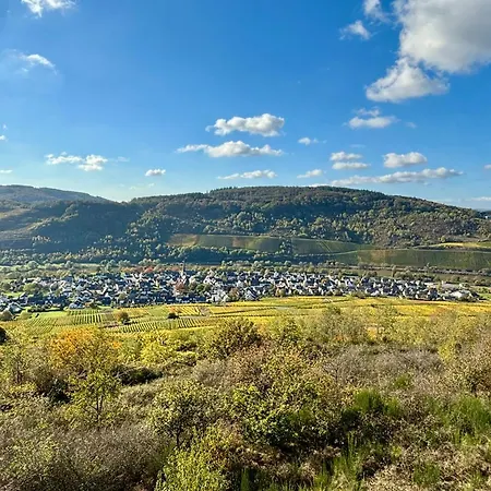 아파트 Klosterblick Sowie Weinberge & Drachenflieger 젤틴겐라티그