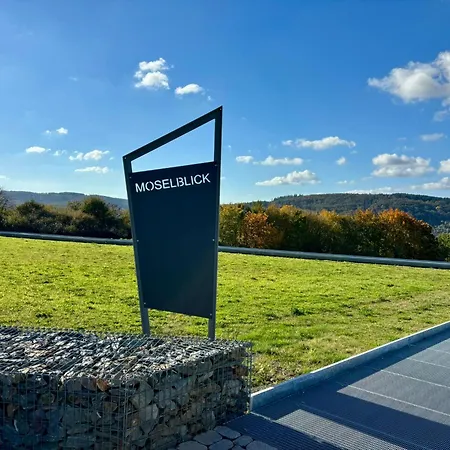 Klosterblick Sowie Weinberge & Drachenflieger *