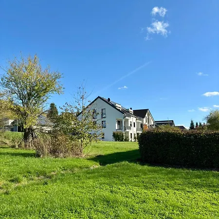 Klosterblick Sowie Weinberge & Drachenflieger 젤틴겐라티그
