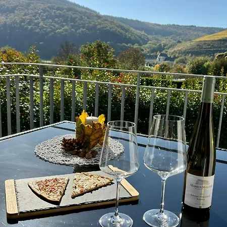 Klosterblick Sowie Weinberge & Drachenflieger *